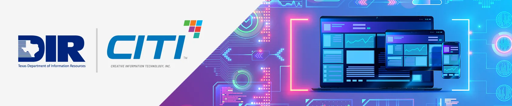 Texas DBITS Contract